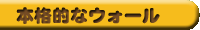 本格的なウォール